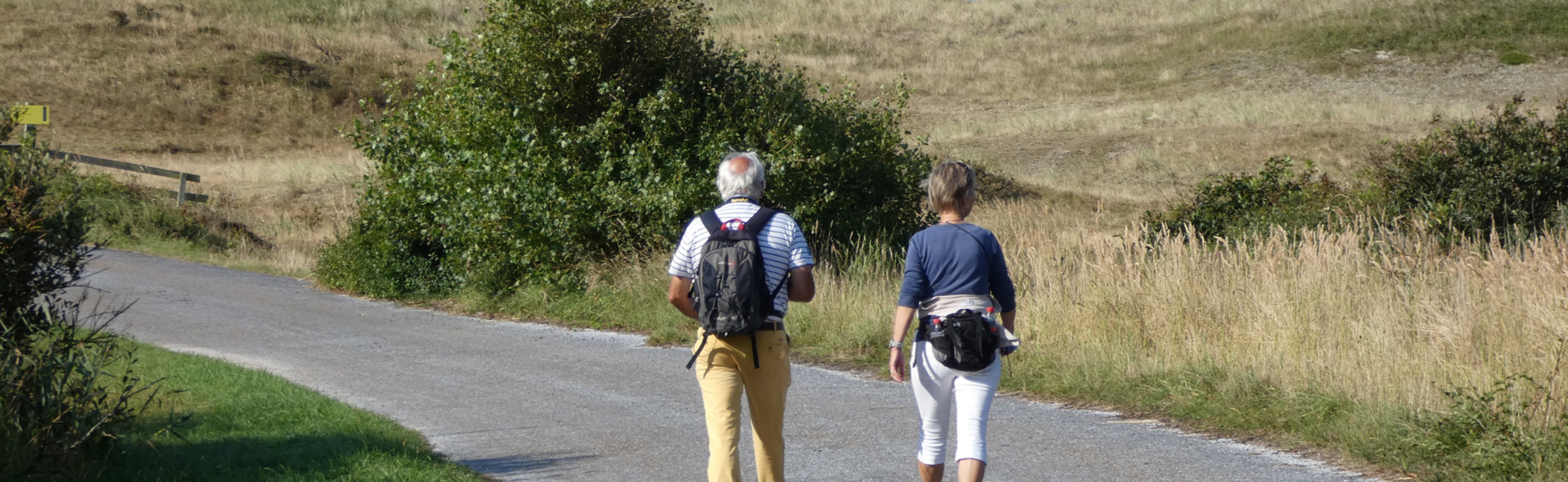 Wandelen