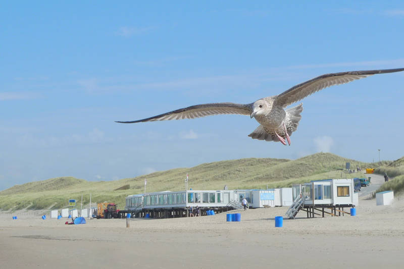 Strandurlaub Callantsoog 