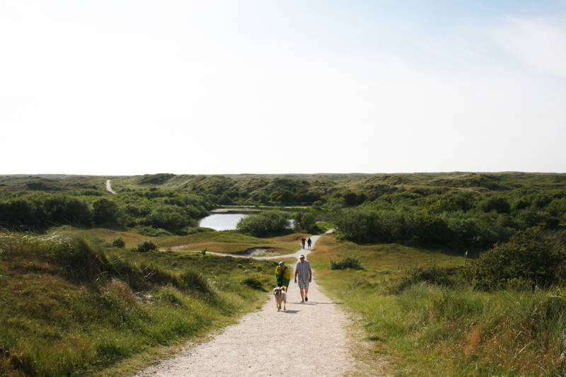 Sint Maartenszee