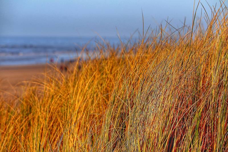 Herbst am Meer