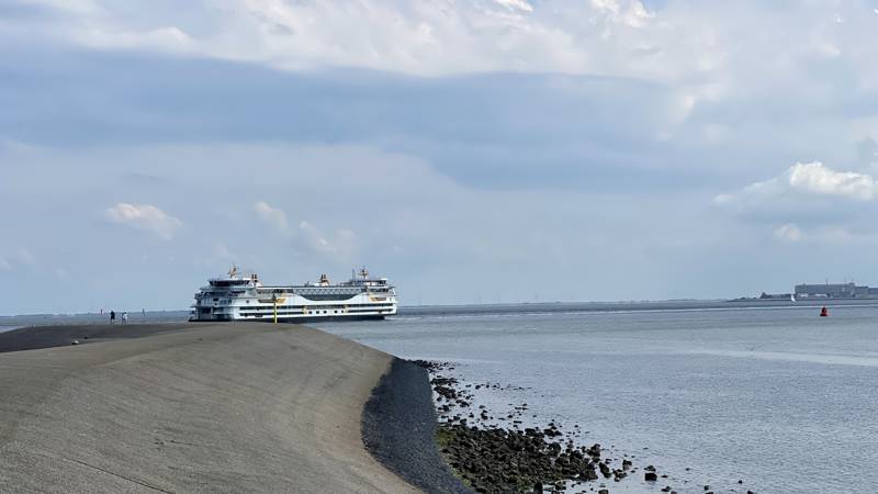 Boot_Texel