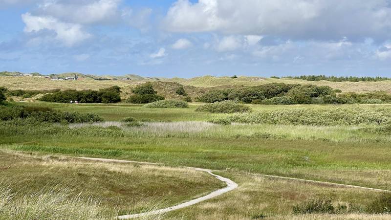 Zwanenwater Uitzicht Callantsoog
