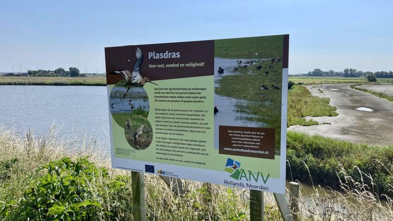 Wandern in Nordholland LekkerNaarZee 