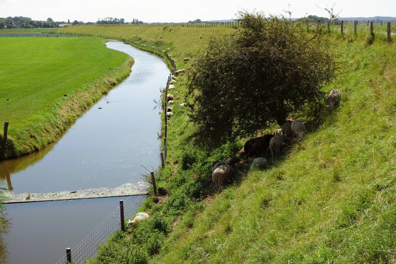Roadtrip Nordholland LekkerNaarZee