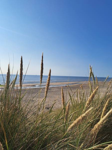 Strand Callantsoog LekkerNaarZee