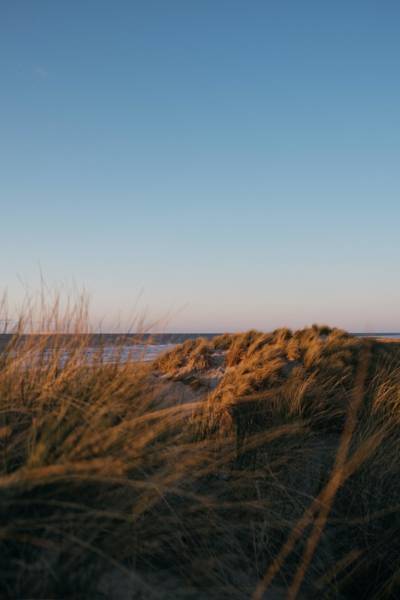 Duinen Callantsoog LekkerNaarZee