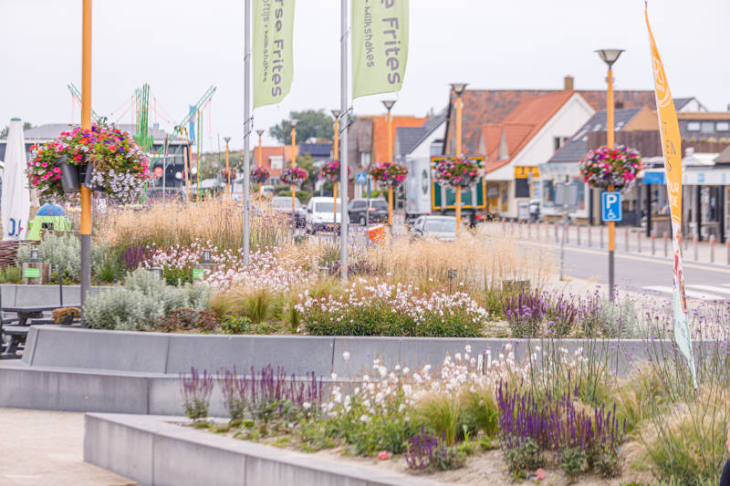 /frauen-gruppenausflug-am-meer-entspannen-genie-en-in-callantsoog