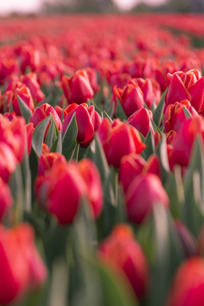 /frauen-gruppenausflug-am-meer-entspannen-genie-en-in-callantsoog