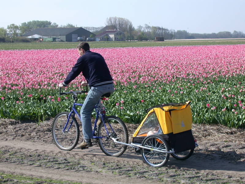 Radfahren rund um Callantsoog