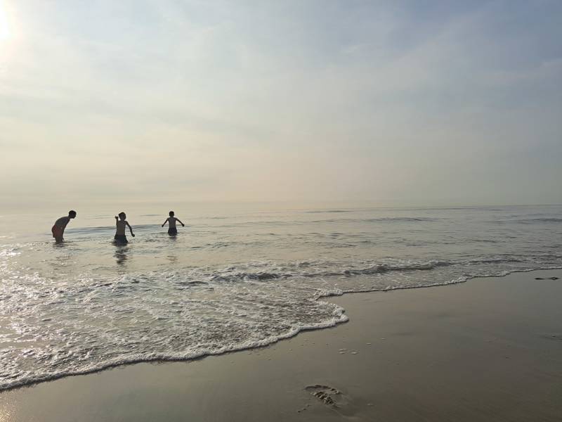 Strandgut sammeln in Callantsoog