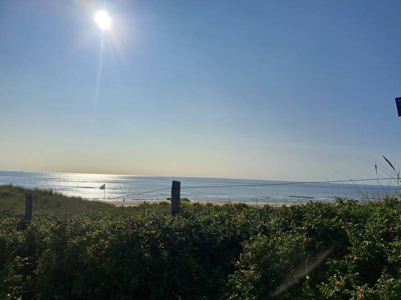 Strandgut sammeln in Callantsoog