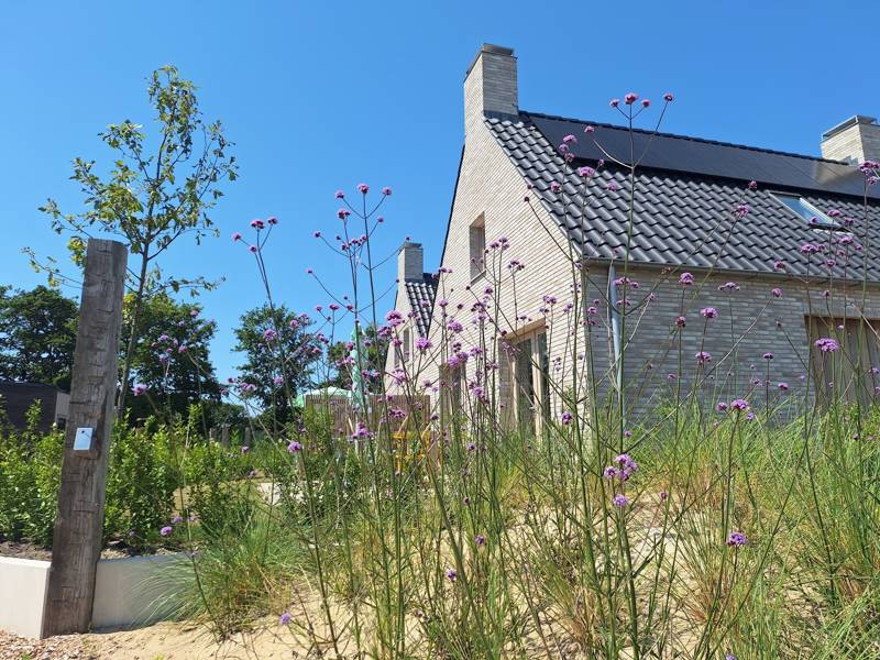 Das perfekte Ferienhaus am Meer wählen?