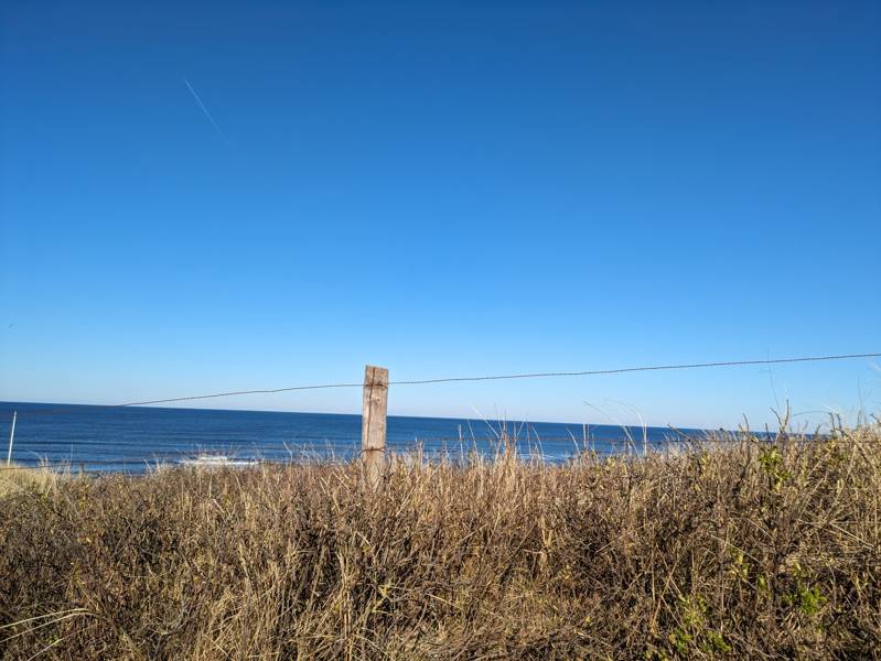 Meeresleuchten bei Callantsoog