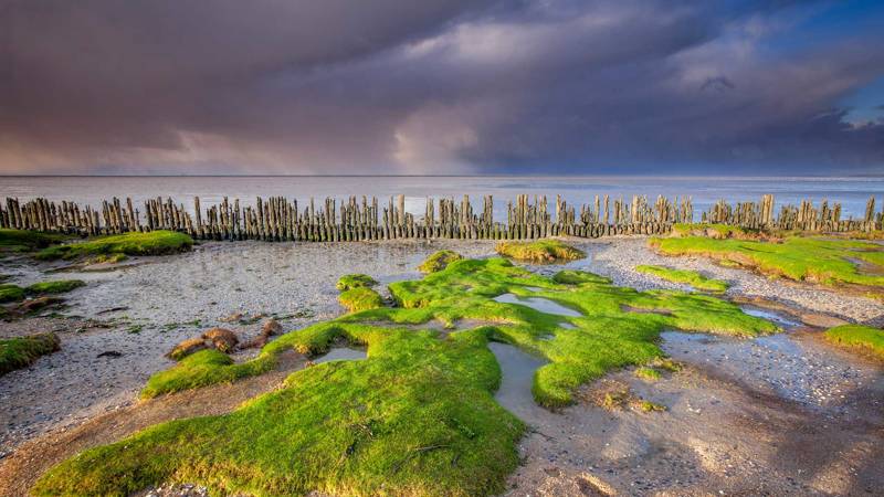 Noordzee of Waddenzee?