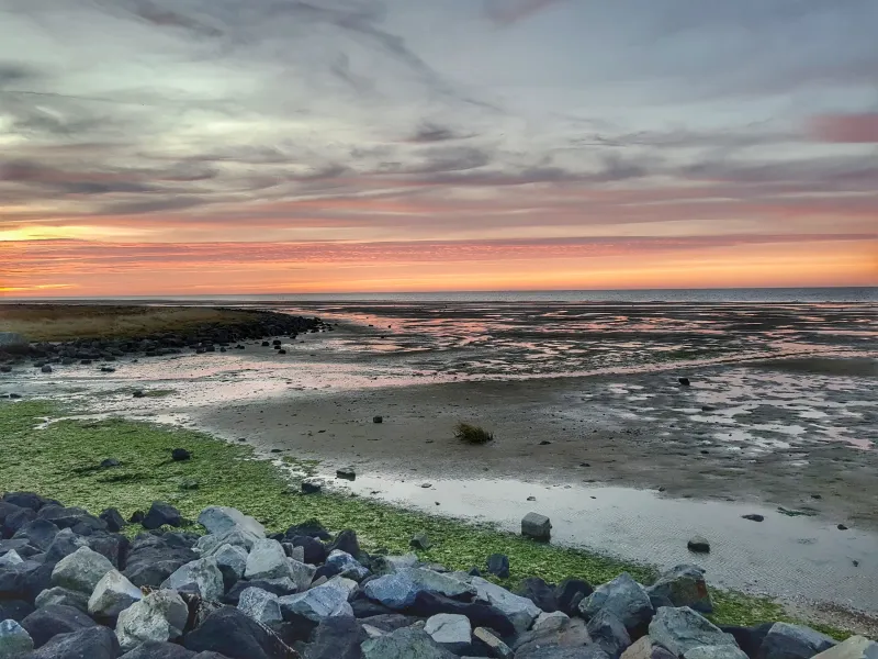 Noordzee of Waddenzee?