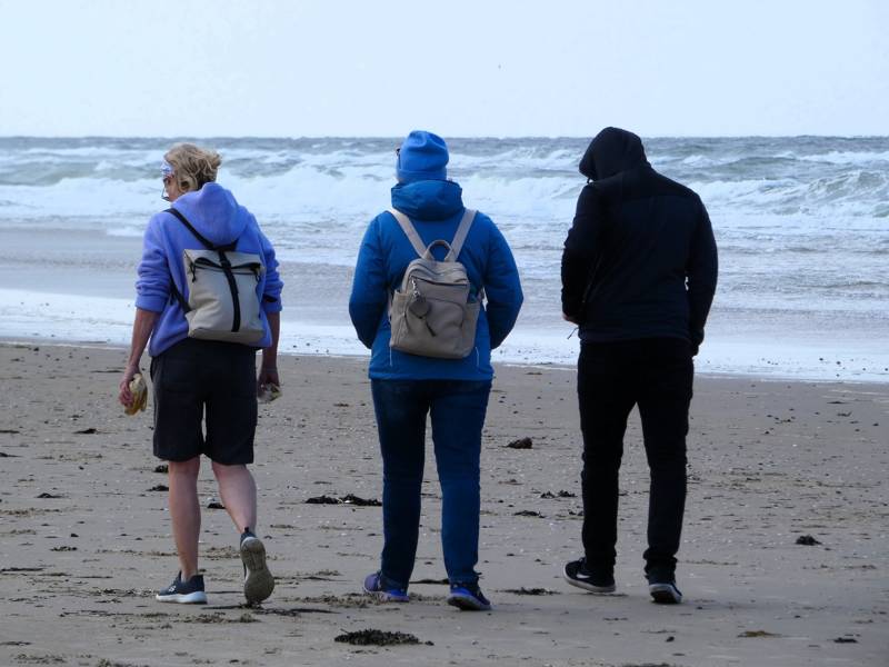 Robben beobachten LekkerNaarZee