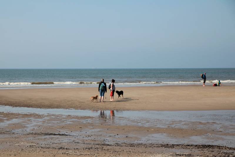 Robben beobachten LekkerNaarZee