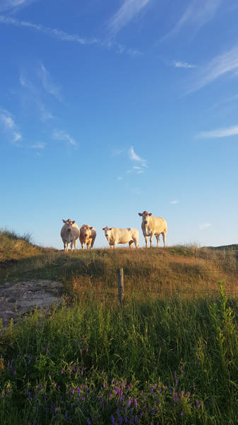 Strand Urlaub LekkerNaarZee