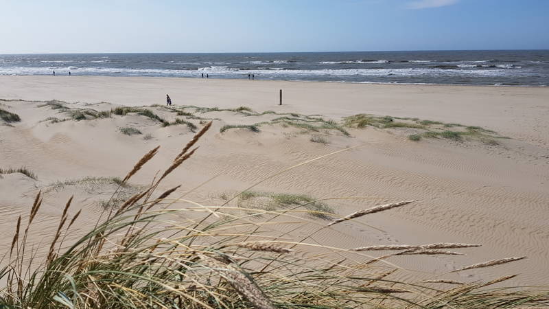 Ferienhaus am meer