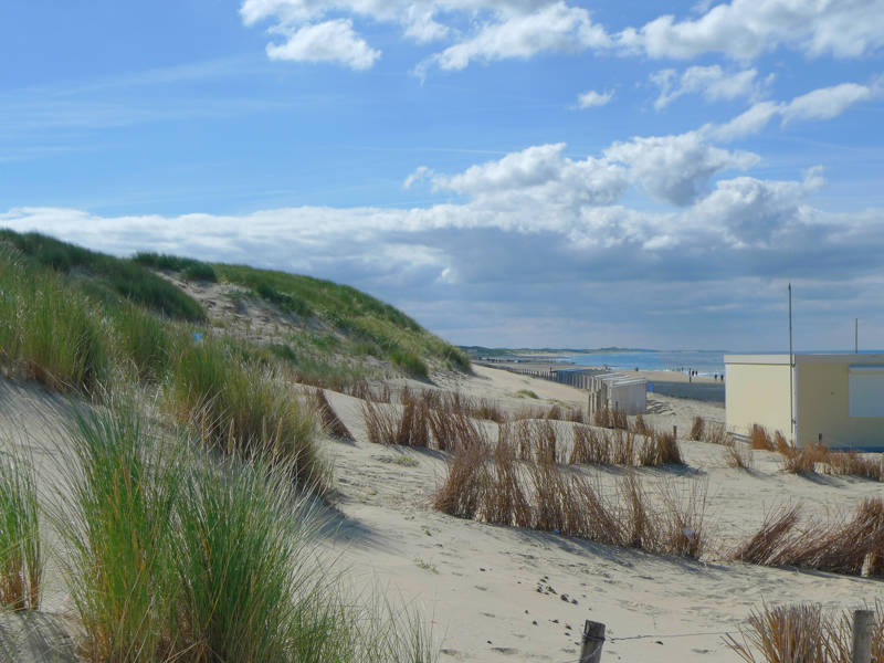Ferienhaus Noord Holland LekkerNaarZee
