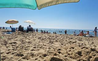 Wann ist die beste Zeit, um nach Callantsoog zu reisen