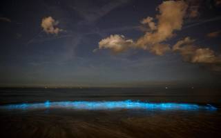 Ferienhaus Holland LekkerNaarZee