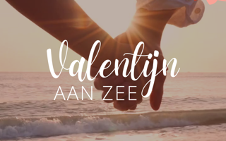 Ferienhaus Holland LekkerNaarZee