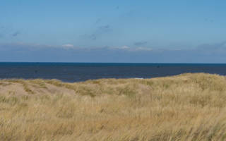 Strand Vakantie LekkerNaarZee