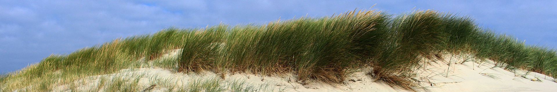 Dunes