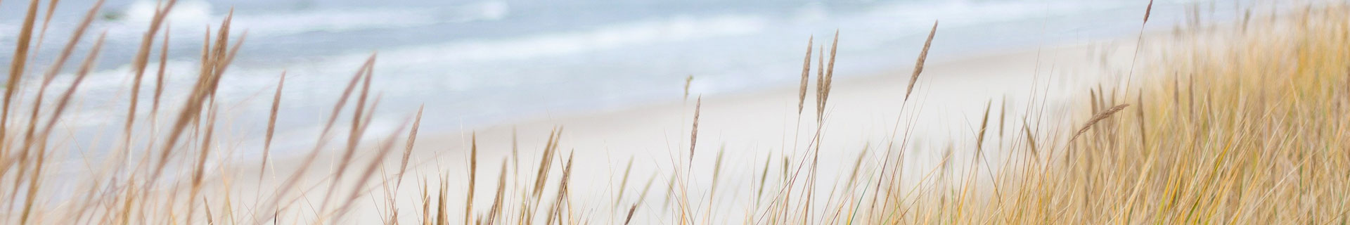 Strand Vakantie LekkerNaarZee ZeeZand