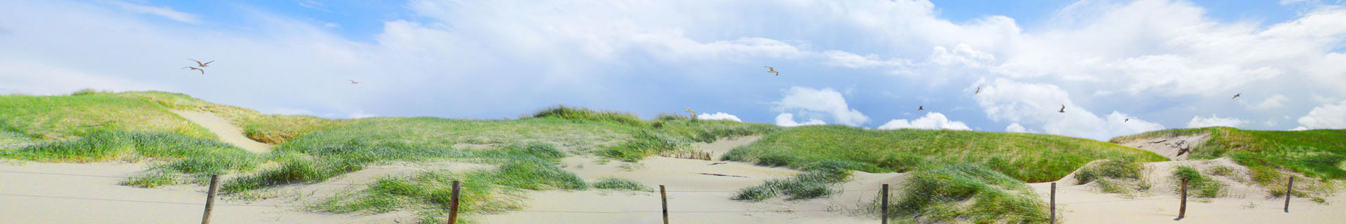 Header Strand