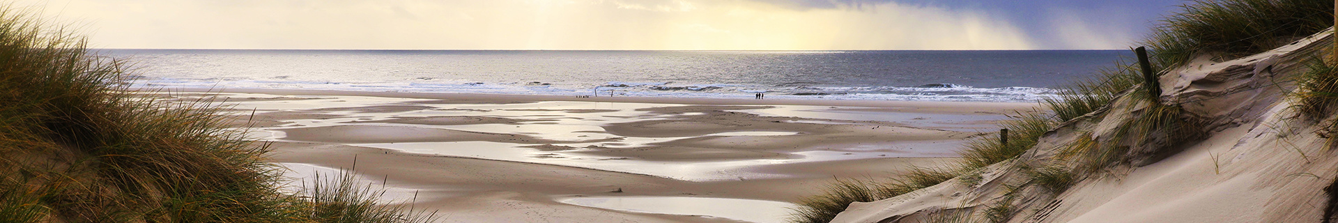 Header
