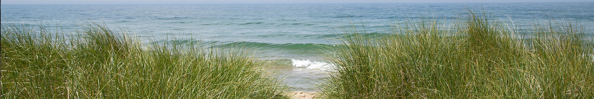 Header strand