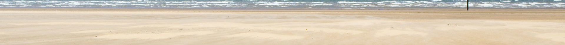 Header